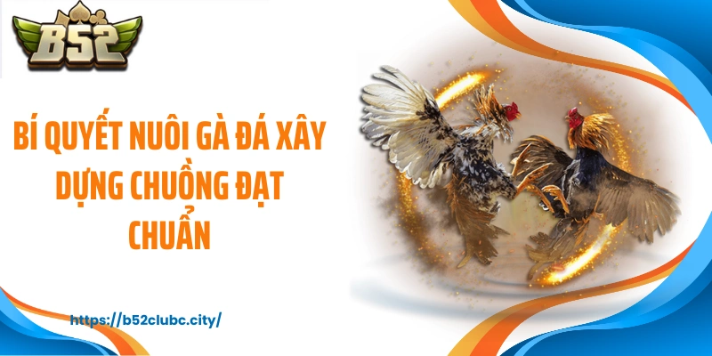 Bí quyết nuôi gà đá xây dựng chuồng đạt chuẩn