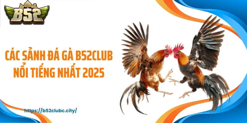 Các sảnh đá gà B52CLUB nổi tiếng nhất 2025