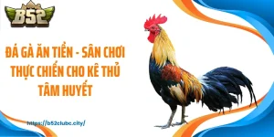 Đá Gà Ăn Tiền - Sân Chơi Thực Chiến Cho Kê Thủ Tâm Huyết