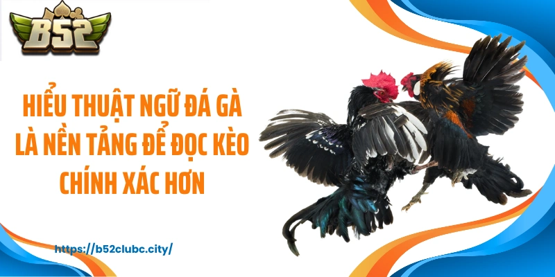 Hiểu thuật ngữ đá gà là nền tảng để đọc kèo chính xác hơn
