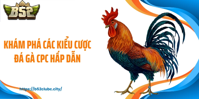 Khám phá các kiểu cược đá gà CPC hấp dẫn