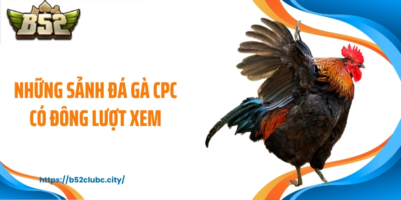 Những sảnh đá gà CPC có đông lượt xem