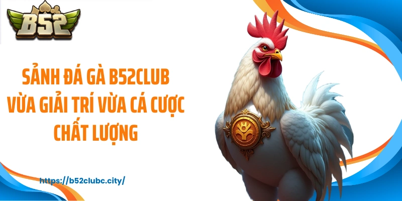 Sảnh đá gà B52CLUB vừa giải trí vừa cá cược chất lượng