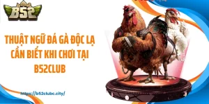 Thuật Ngữ Đá Gà Độc Lạ Cần Biết Khi Chơi Tại B52CLUB