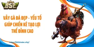 Vảy Gà Đá Đẹp - Yếu Tố Giúp Chiến Kê Tạo Lợi Thế Đỉnh Cao